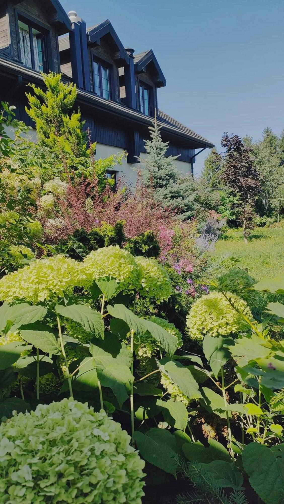 Bed and Breakfast Osrodek Bialy Lew Wojciechow  Exteriér fotografie