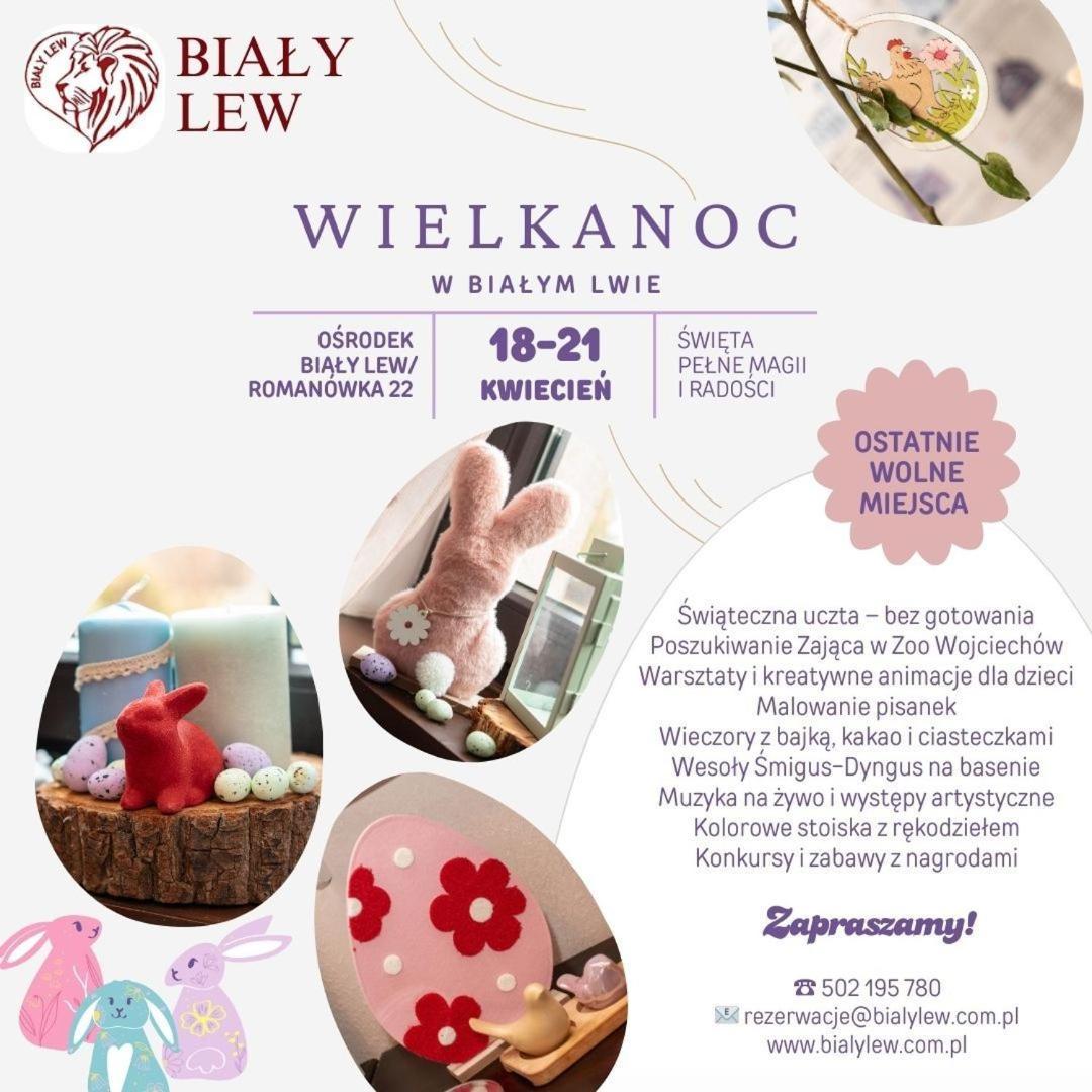 Bed and Breakfast Osrodek Bialy Lew Wojciechow  Exteriér fotografie